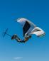 Preview: Vayu VVing V3 Wing 4,0 m blanco-negro