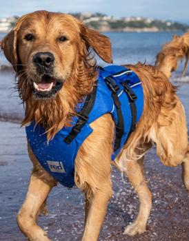 Red Original Dog PFD buoyancy vest for dogs Blue