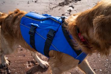 Red Original Dog PFD Auftriebsweste für Hunde Blau