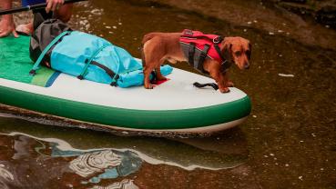 Red Paddle Co TANDEM MSL Board 15' x 34" x 8