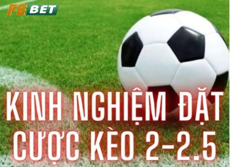 Kèo Chấp 2 1/4 Đến Thế Giới Febet Cá Cược Siêu Hấp Dẫn Kinh nghiệm chơi kèo 2 1/4 Febet